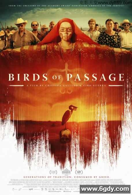 2018年欧美6.6分剧情惊悚片《候鸟》BD中字迅雷下载