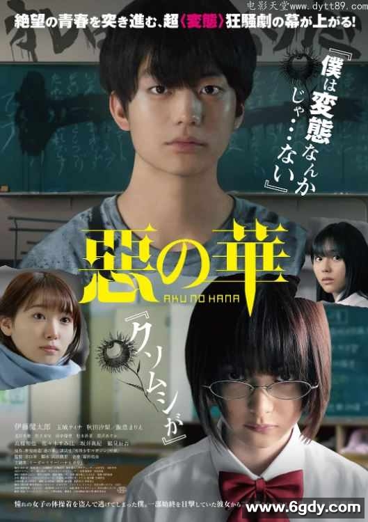 2019年日本5.1分爱情惊悚片《恶之华》BD日语中字迅雷下载