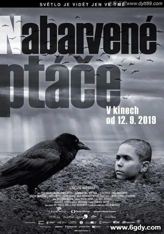 2019年欧美8.0分战争剧情片《被涂污的鸟》BD中字迅雷下载