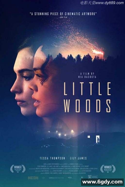 2018年美国6.2分西部剧情片《小森林》BD中英双字迅雷下载