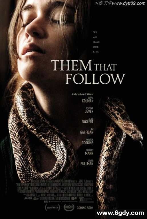 2019年美国4.2分惊悚片《追随者》BD中字迅雷下载