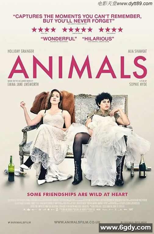 2019年欧美5.9分喜剧片《都柏林动物》BD中英双字迅雷下载