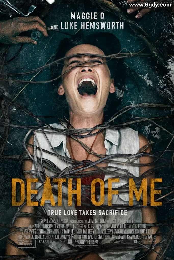 2020年美国恐怖片《本人之死》BD中英双字迅雷下载