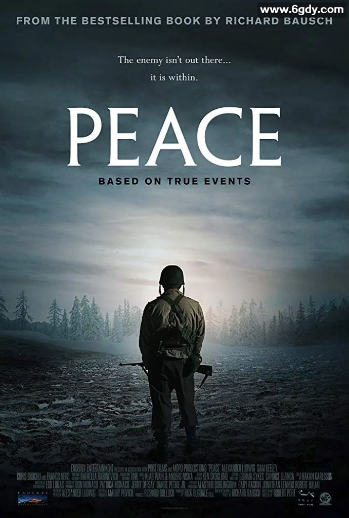 2019年美国动作战争片《和平》BD中英双字迅雷下载