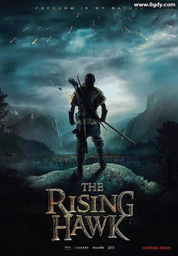 2019年欧美6.1分动作历史片《驯鹰者的崛起》BD中英双字迅雷下载