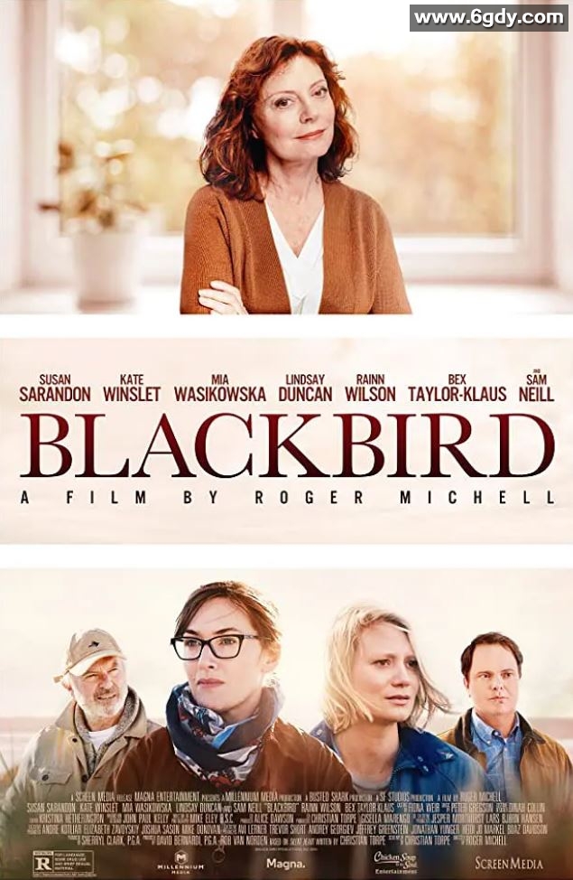 2019年欧美7.0分剧情片《黑鸟》BD中英双字迅雷下载