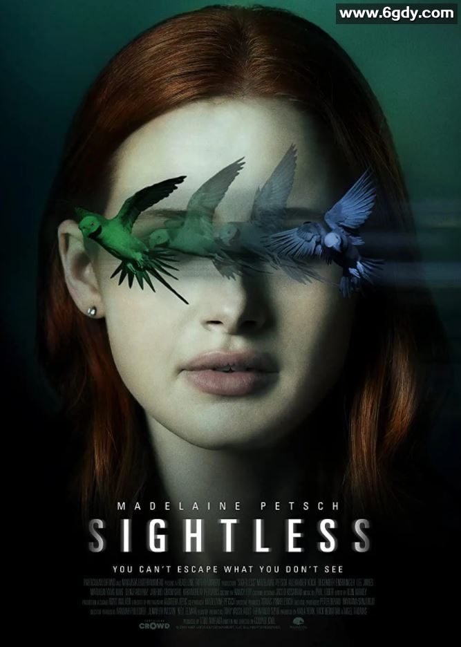 2020年美国6.2分惊悚片《迷盲》BD中英双字迅雷下载