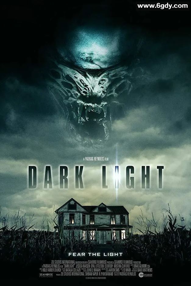 2019年美国科幻惊悚片《暗夜凶光》BD中英双字迅雷下载