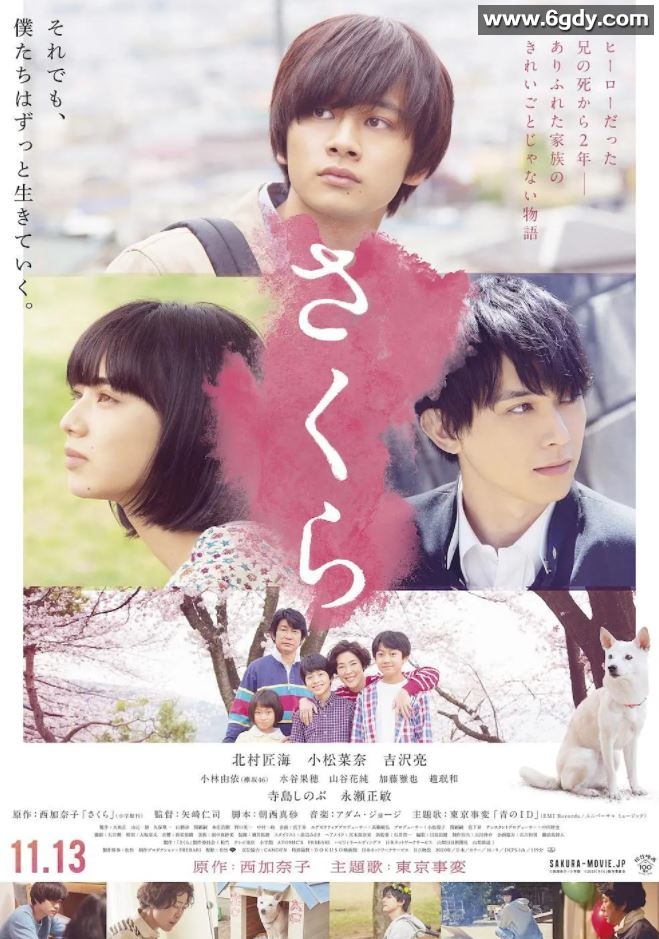 2020年日本6.7分剧情家庭片《樱》BD日语中字迅雷下载