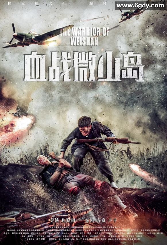 2021年国产历史战争片《血战微山岛》HD国语中字迅雷下载