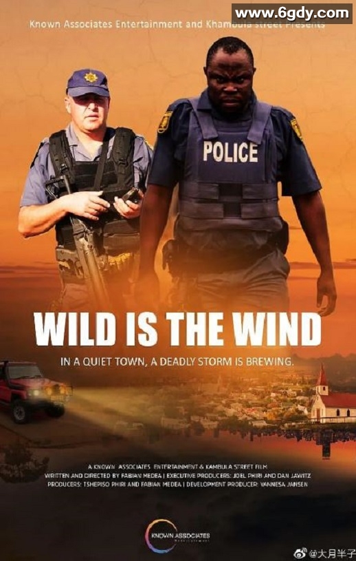 2022年南非剧情犯罪片《狂风飒飒》BD中英双字迅雷下载