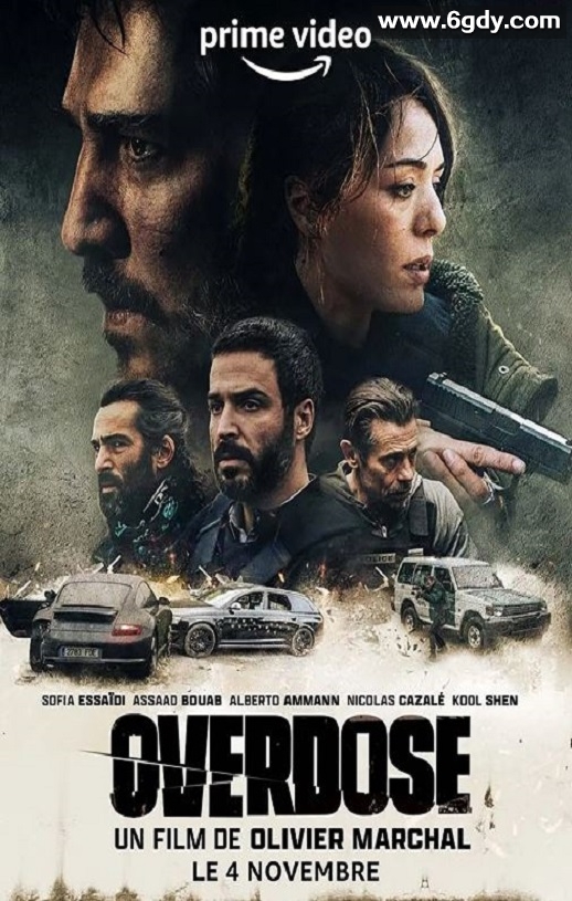 2022年法国动作犯罪片《过量》HD中英双字迅雷下载