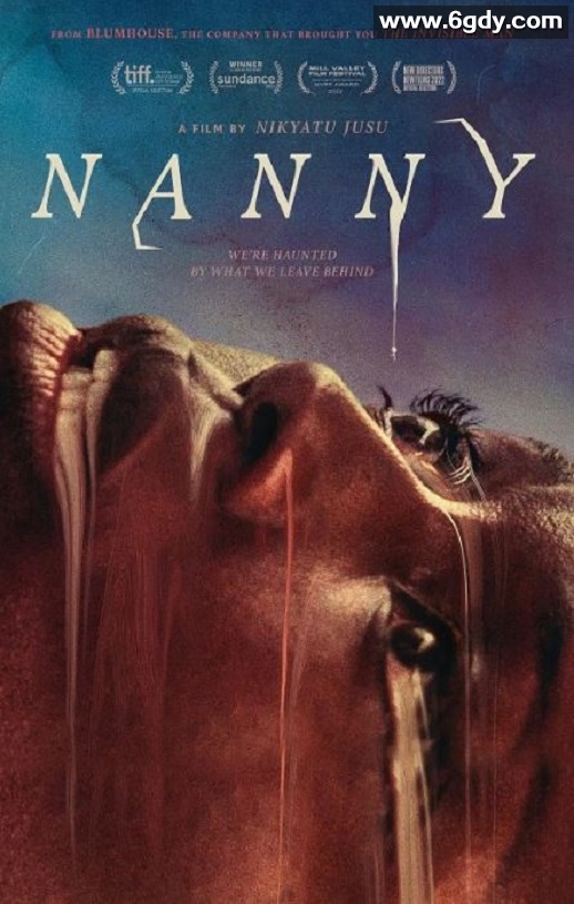 2022年美国惊悚恐怖片《移民保姆》BD中英双字迅雷下载