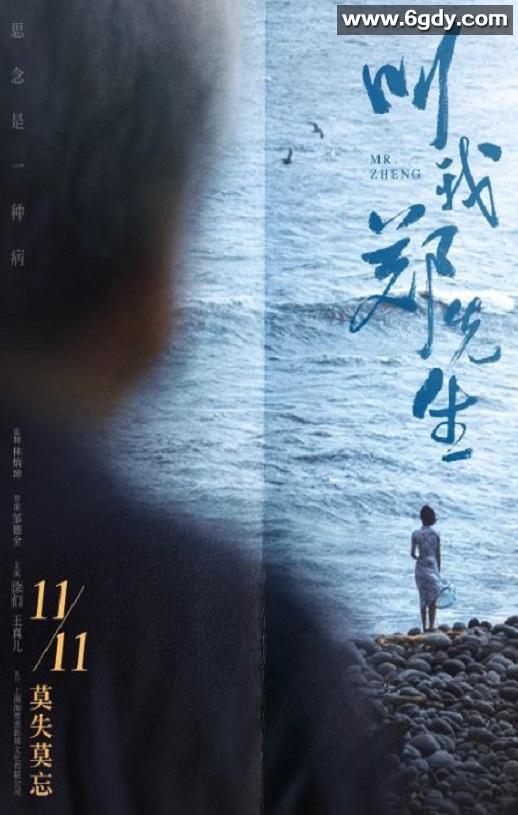 2022年国产7.1分爱情片《叫我郑先生》HD国语中字迅雷下载