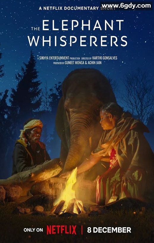 2022年印度纪录片《小象守护者》BD中英双字迅雷下载