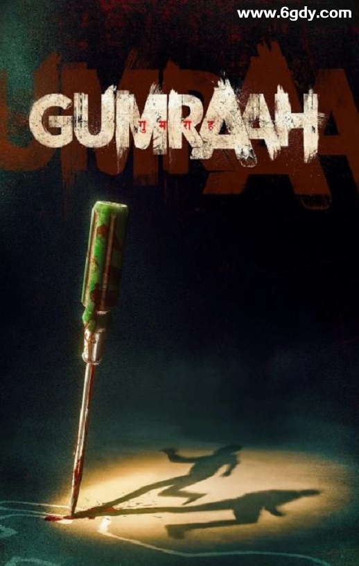 2023年印度动作犯罪片《双面线索》BD印地语中字迅雷下载