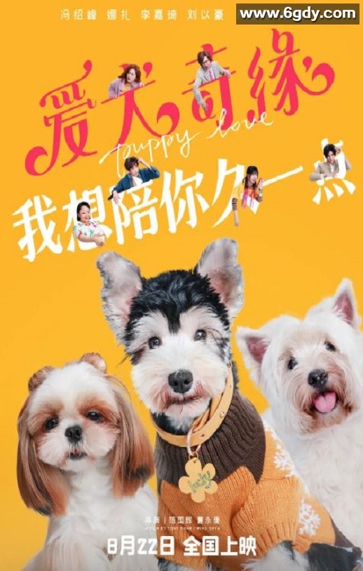 2023年国产爱情片《爱犬奇缘》HD国语中字迅雷下载