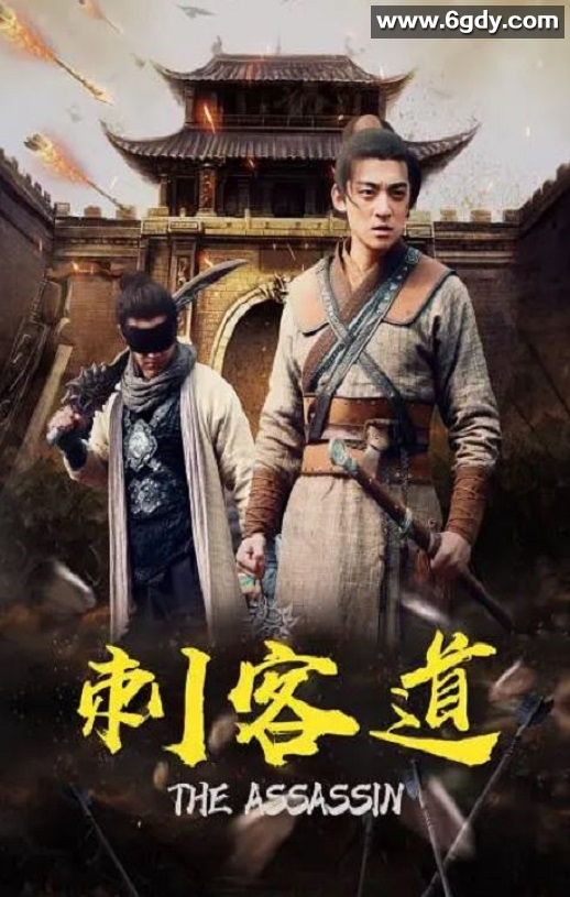 2022年国产动作片《刺客道》HD国语中字迅雷下载