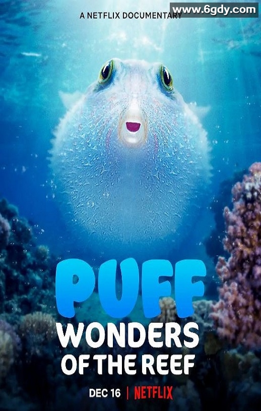 2021年澳大利亚纪录片《河豚之家：神奇的珊瑚礁》BD英语中字迅雷下载