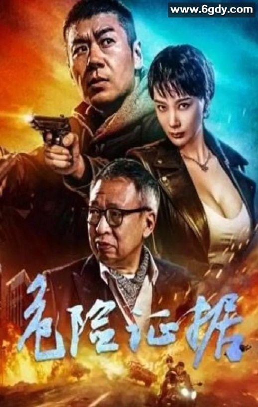 2024年国产动作片《危险证据》HD国语中字迅雷下载