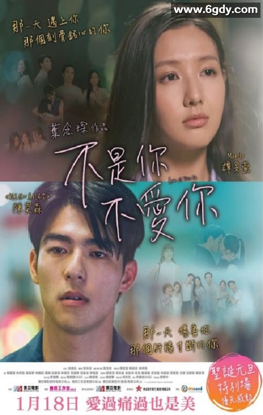 2024年中国香港爱情片《不是你不爱你》BD国粤双语中字迅雷下载