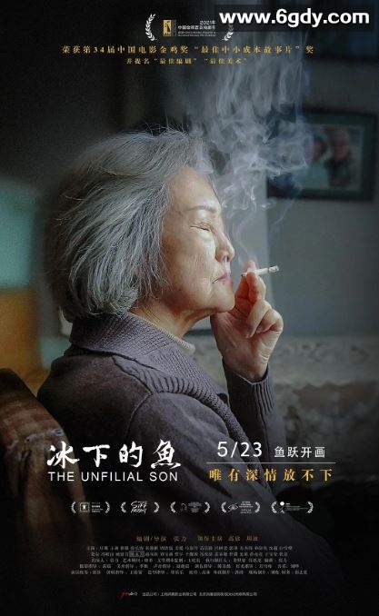 2020年国产剧情片《冰下的鱼》HD国语中字迅雷下载