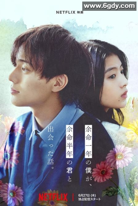 2024年日本爱情片《余生一年的我，遇见了的余生半年的你的故事》BD日语中字迅雷下载