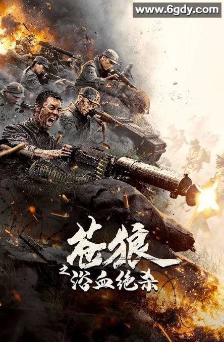 2024年国产战争片《苍狼之浴血绝杀》HD国语中字迅雷下载