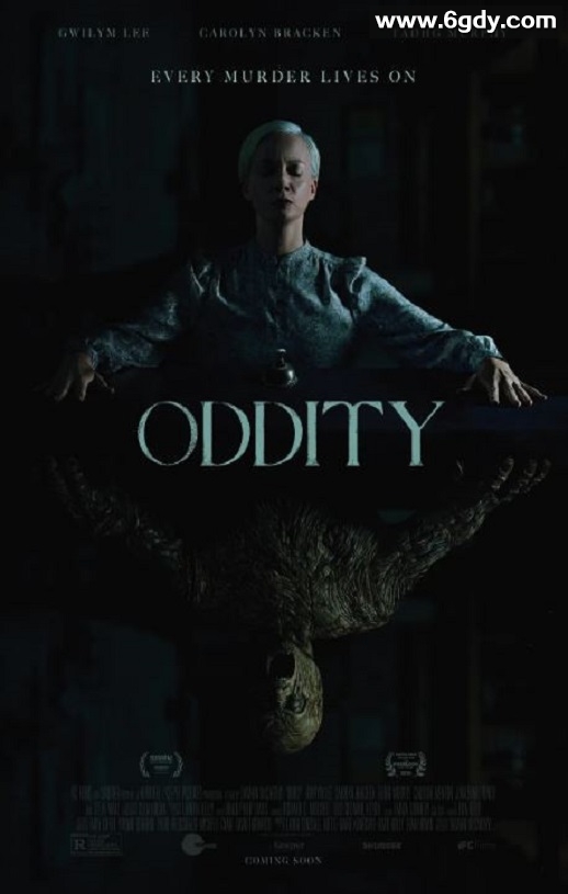 2024年爱尔兰惊恐片《咒物寻凶》BD中英双字迅雷下载