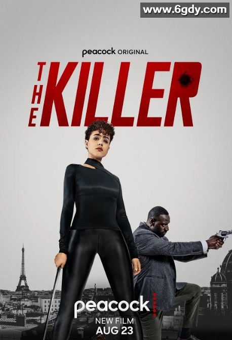 2024年美国动作片《喋血双雄》BD中英双字迅雷下载