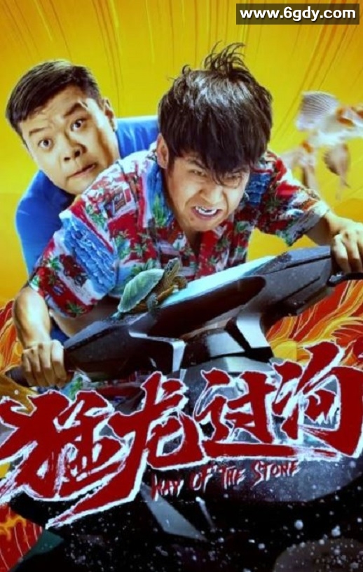 2024年国产剧情片《猛龙过沟2》HD国语中字迅雷下载