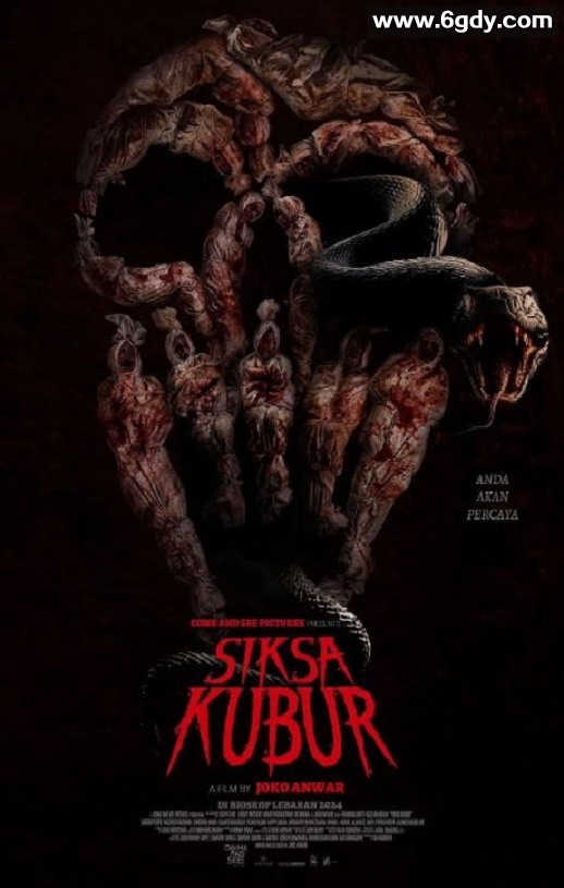 2024年印度尼西亚惊悚片《墓中酷刑》BD中英双字迅雷下载