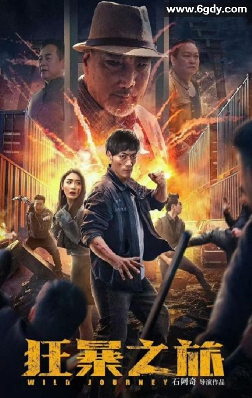 2024年国产悬疑片《狂暴之旅》HD国语中字迅雷下载