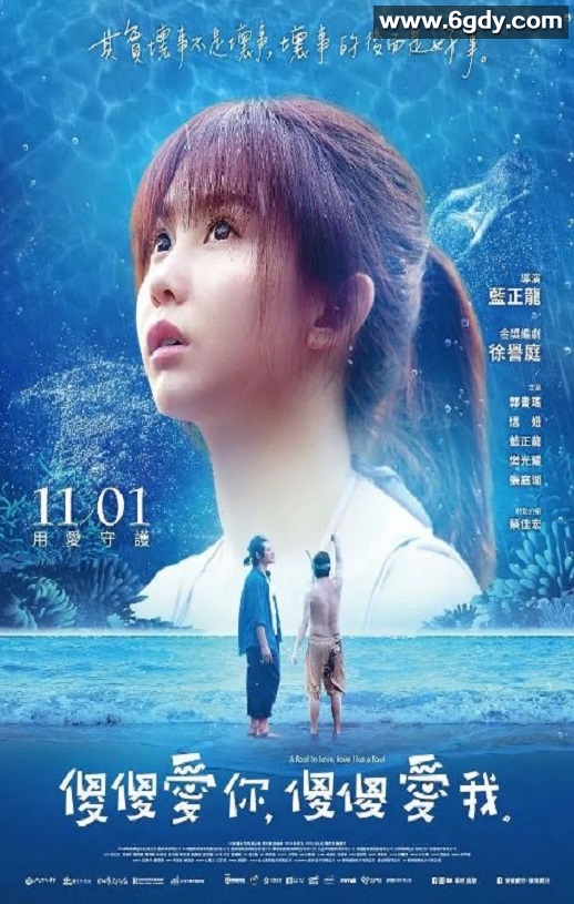 2019年中国台湾奇幻片《傻傻爱你，傻傻爱我》HD国语中字迅雷下载