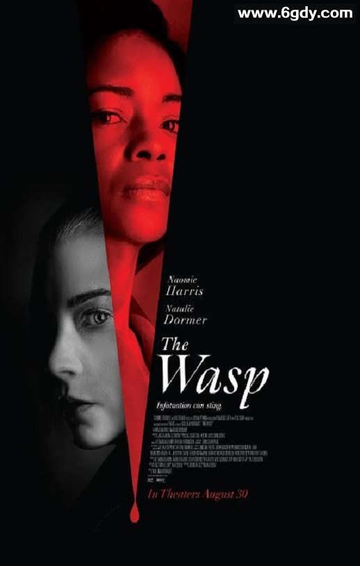 2024年美国惊悚片《黄蜂蜇》BD中英双字迅雷下载