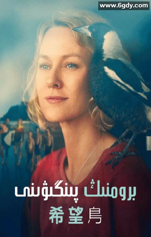 2020年澳大利亚剧情片《企鹅布鲁姆》BD中英双字迅雷下载