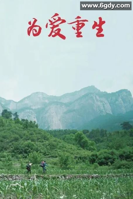 2019年国产剧情片《为爱重生》HD国语中字迅雷下载