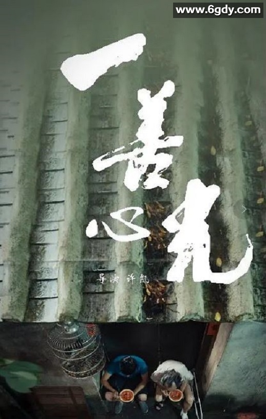 2018年国产剧情片《一善心光》HD国语中字迅雷下载