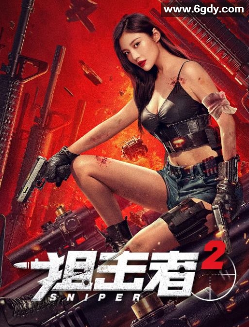 2024年国产动作片《狙击者2》HD国语中字迅雷下载