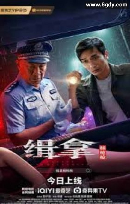 2024年国产动作片《缉拿杨枪枪》HD国语中字迅雷下载