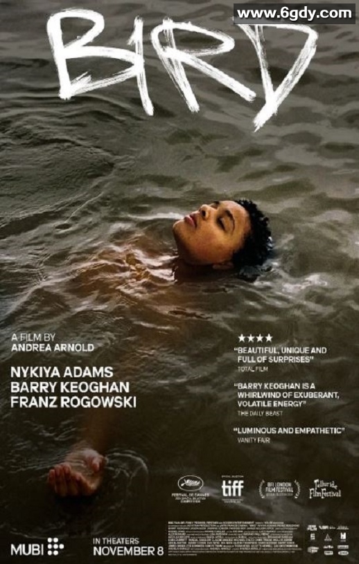 2024年英国剧情片《鸟》BD中英双字迅雷下载