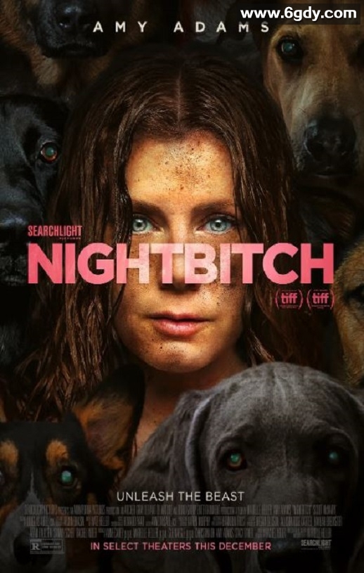 2024年美国喜剧片《夜母》BD中英双字迅雷下载