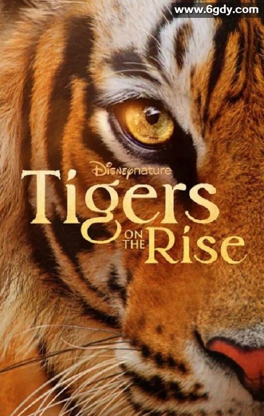 2024年美国纪录片《老虎崛起》HD英语中字迅雷下载