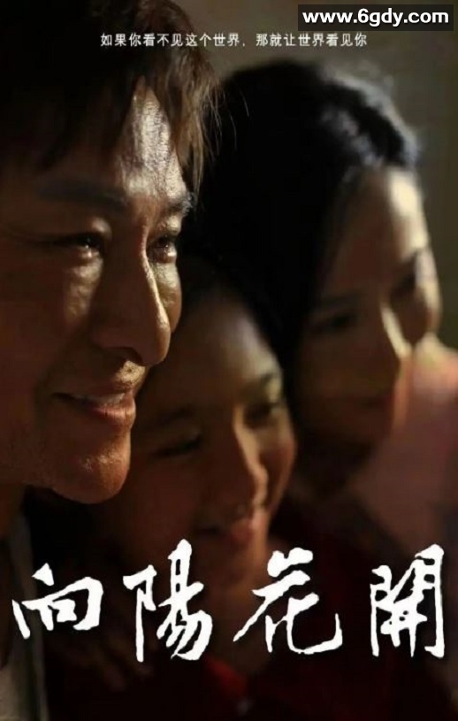 2024年国产剧情片《向阳花开》HD国语中英双字迅雷下载