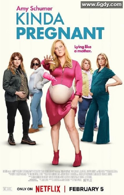 2025年美国喜剧片《肚假情真》HD中英双字迅雷下载