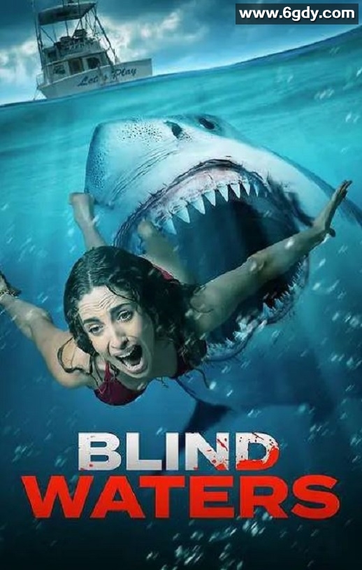 2023年美国动作片《盲水》BD英语中字迅雷下载