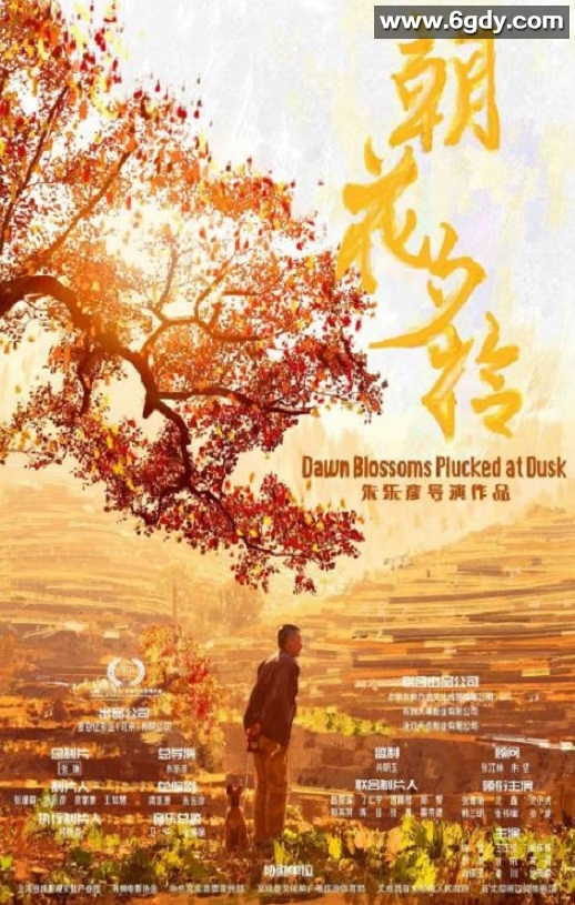 2024年国产剧情片《朝花夕拾》HD国语中字迅雷下载