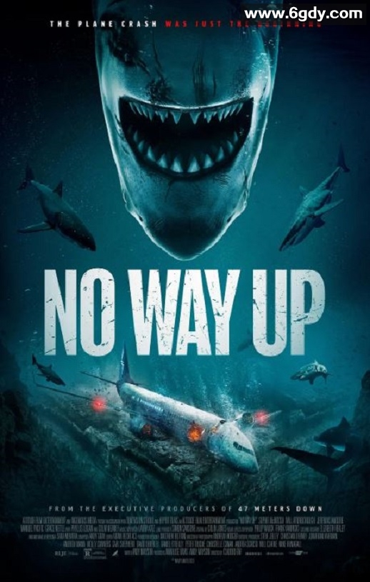 2024年美国动作冒险片《深渊鲨难》HD中英双字迅雷下载