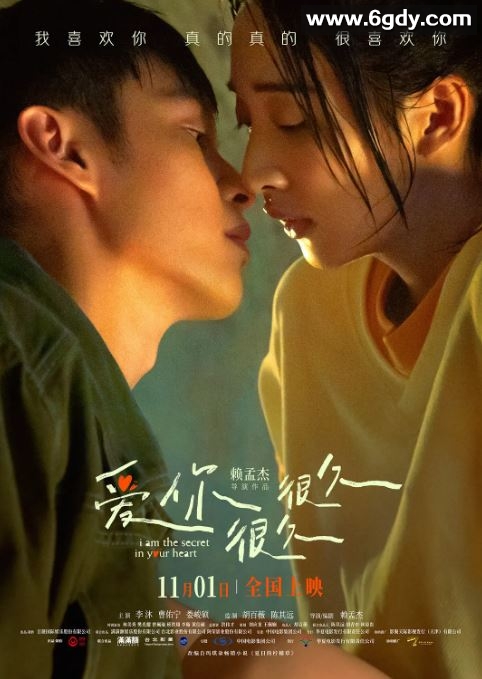 2024年中国台湾喜剧片《爱你很久很久》HD国语中字迅雷下载