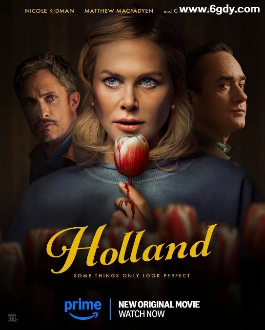 2025年美国惊悚片《荷兰镇》HD英语中字迅雷下载